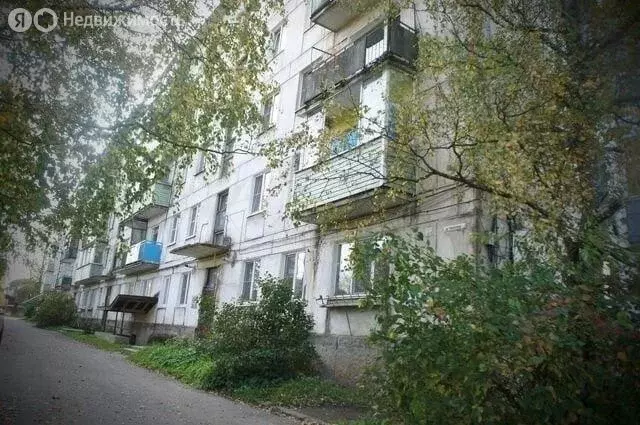 1-комнатная квартира: Малая Вишера, Пушкинская улица, 42А (29.5 м) - Фото 0
