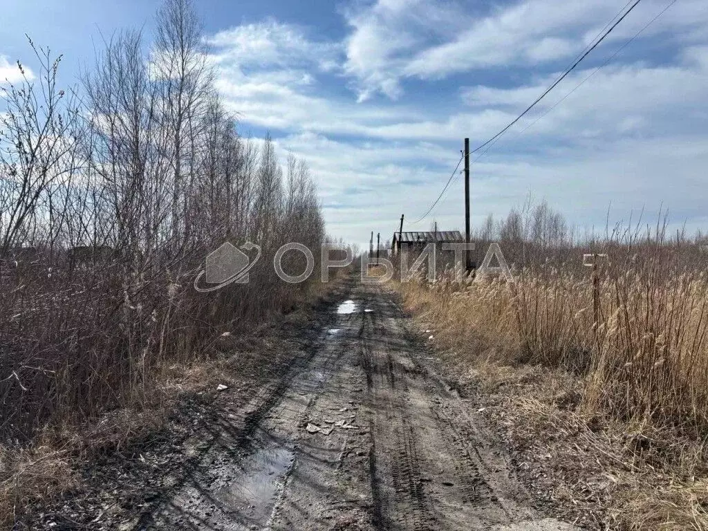 Участок в Тюменская область, Тюмень Поле Чудес садовое товарищество, ... - Фото 1