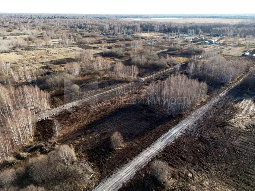 Участок в Тюменская область, Нижнетавдинский муниципальный округ, ... - Фото 1