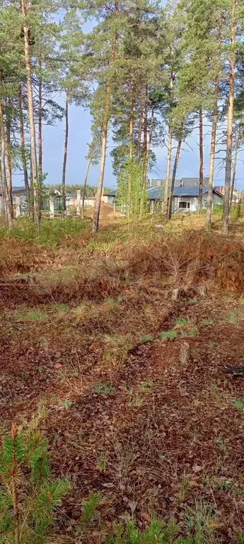 Участок 10 сот. (ИЖС) - Фото 1
