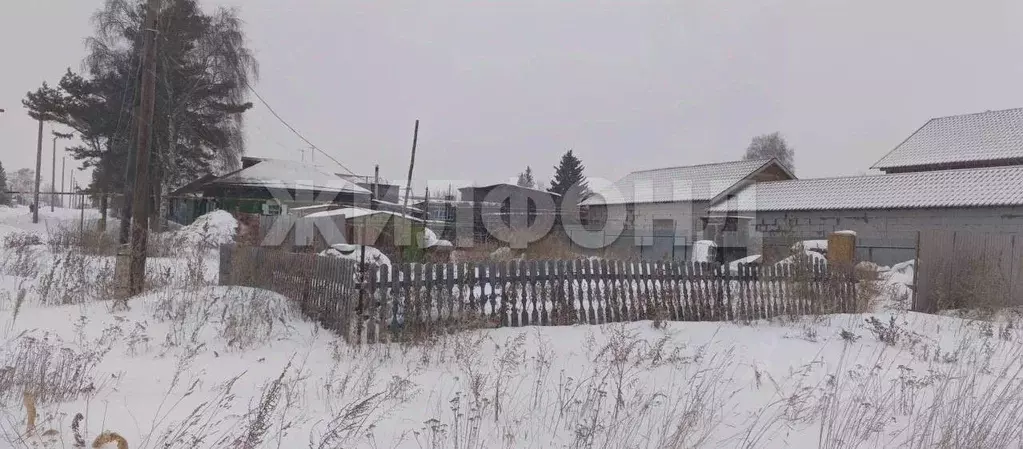 Участок в Новосибирская область, Колывань рп ул. Ворошилова (4.0 сот.) - Фото 1
