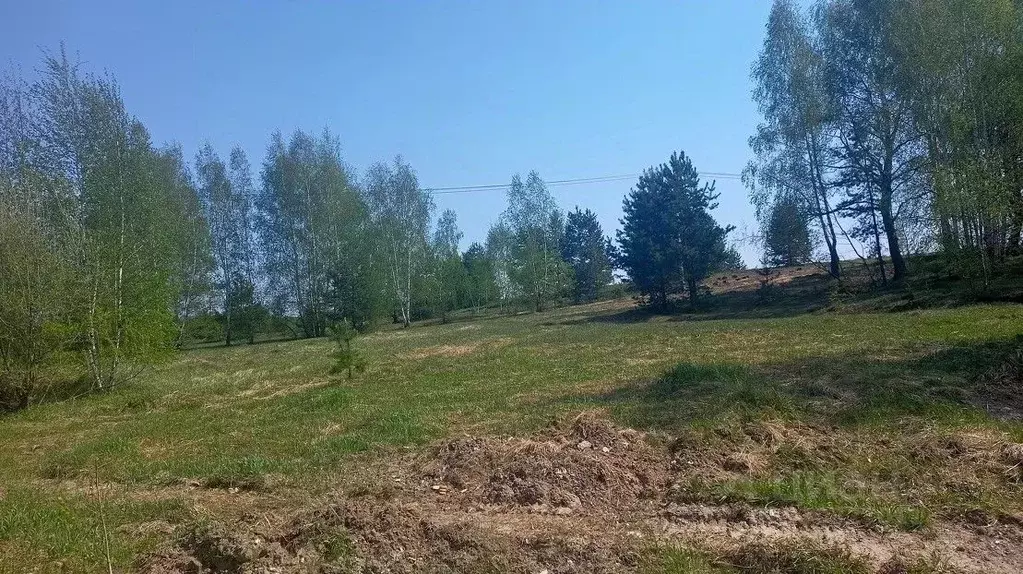 Участок в Московская область, Орехово-Зуевский городской округ, д. ... - Фото 1