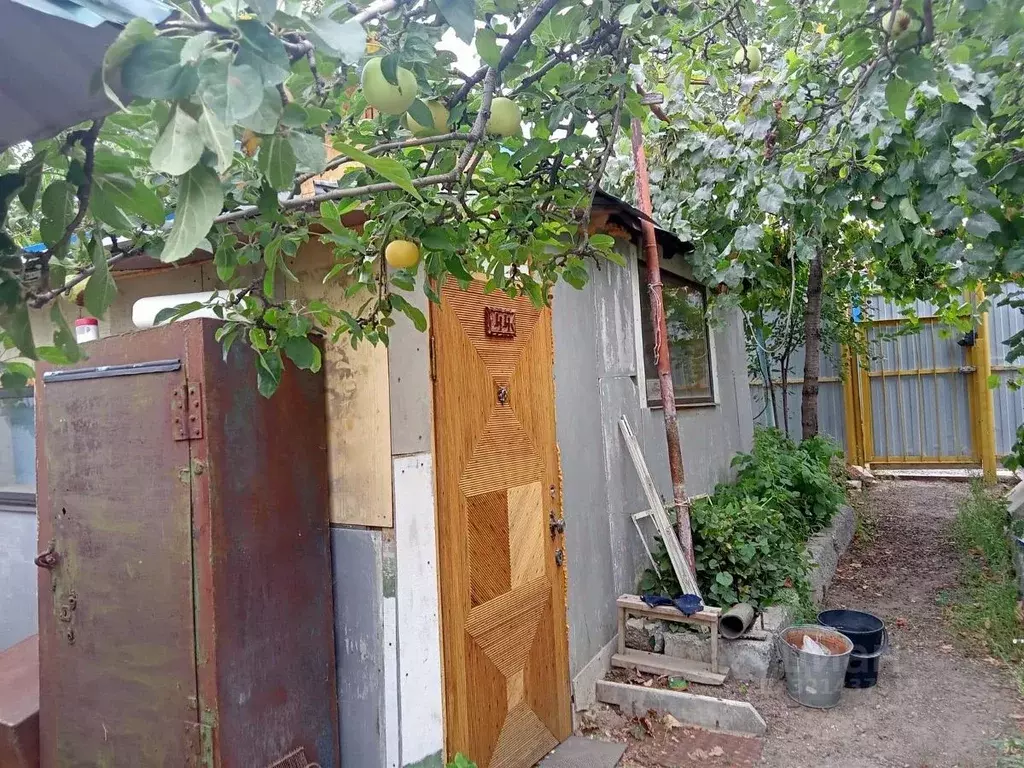 Дом в Волгоградская область, Волгоград Нормаль СНТ, 59 (20 м) - Фото 0