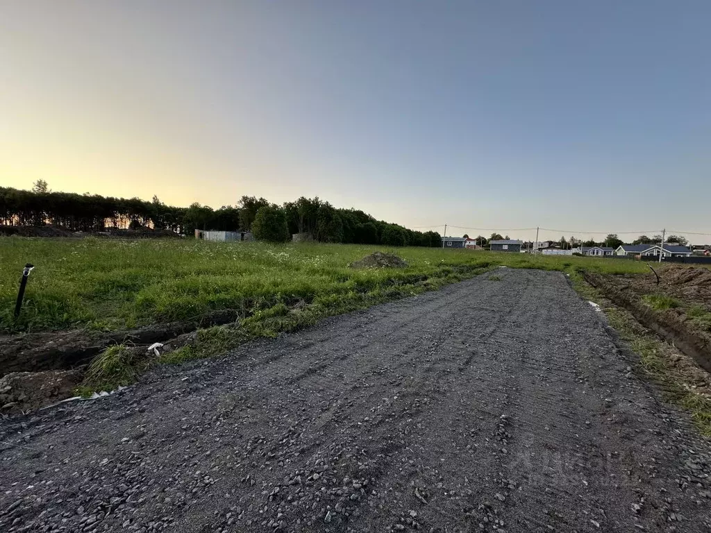 Участок в Ленинградская область, Всеволожский район, Романовское ... - Фото 1