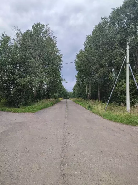 Участок в Вологодская область, Череповец 37-й мкр,  (8.0 сот.) - Фото 1