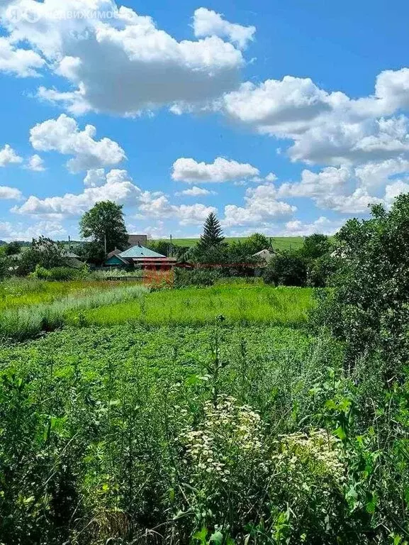 Участок в село Сорокино (9 м) - Фото 2