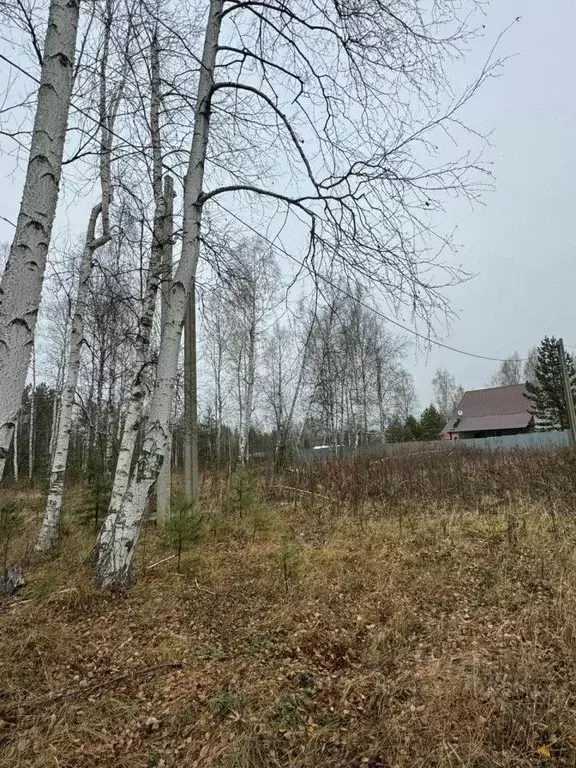 Участок в Свердловская область, Екатеринбург Юбилейный ДСК, 48 (8.0 ... - Фото 1