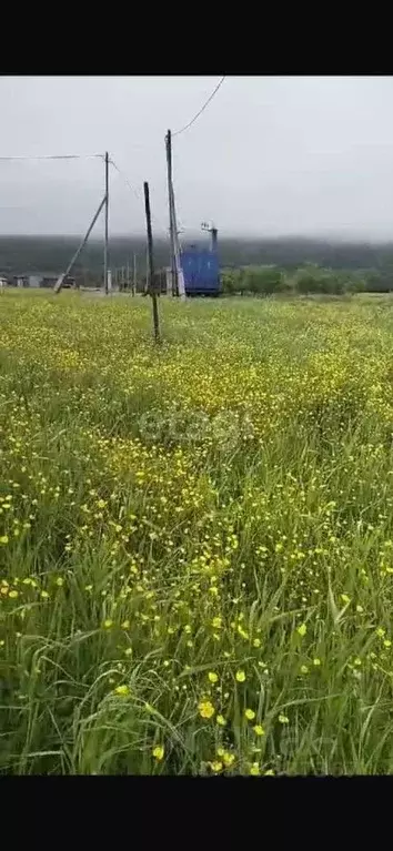 Участок в Сахалинская область, Южно-Сахалинск городской округ, с. ... - Фото 0