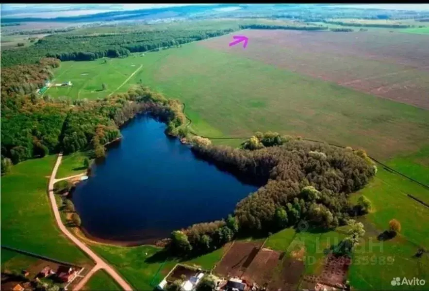 Участок в Башкортостан, Кармаскалинский район, Шаймуратовский ... - Фото 1