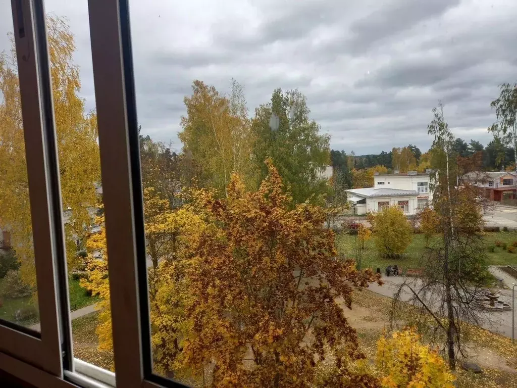 5-к кв. Ленинградская область, Приозерский район, пос. Сосново ул. ... - Фото 2