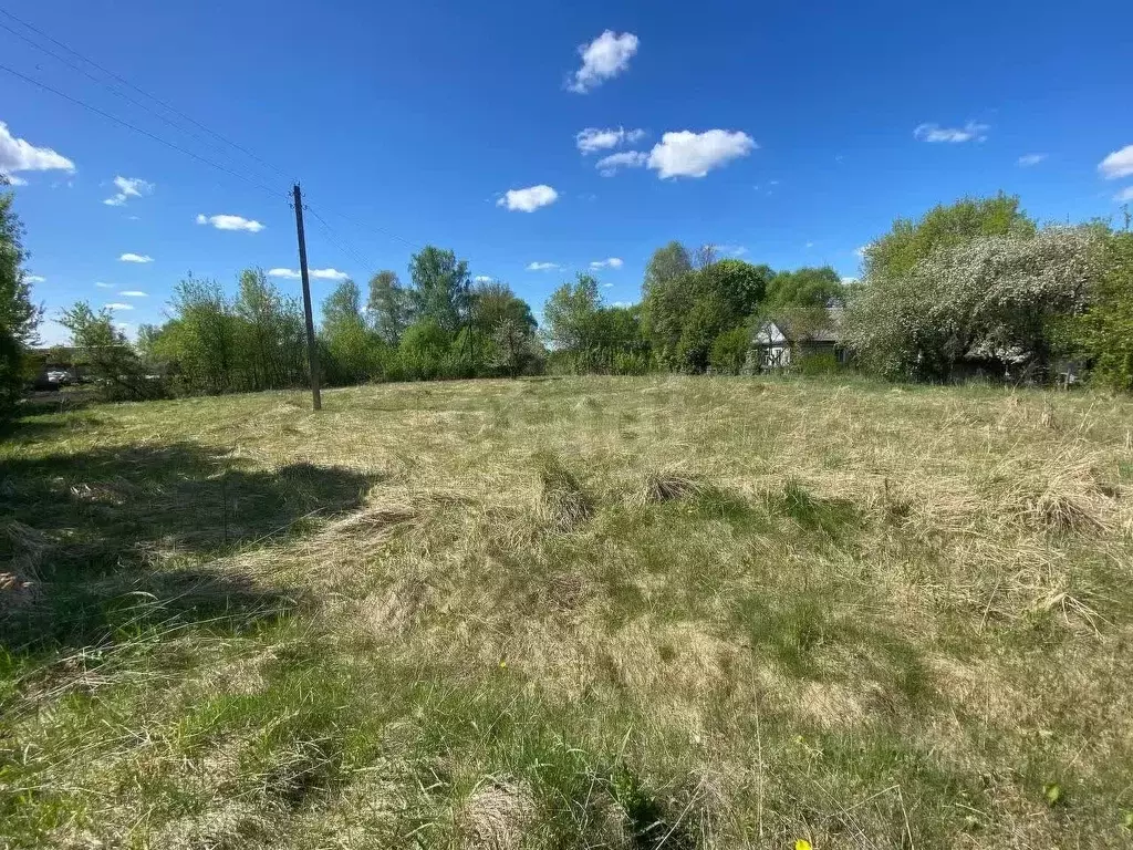 Участок в Брянская область, Почепский район, Витовское с/пос, с. ... - Фото 1