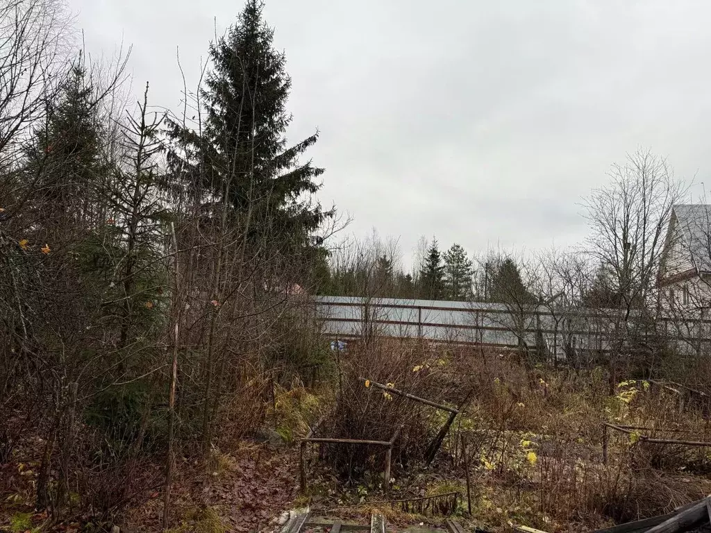 Участок в Ленинградская область, Выборгский район, Гончаровское с/пос, ... - Фото 2