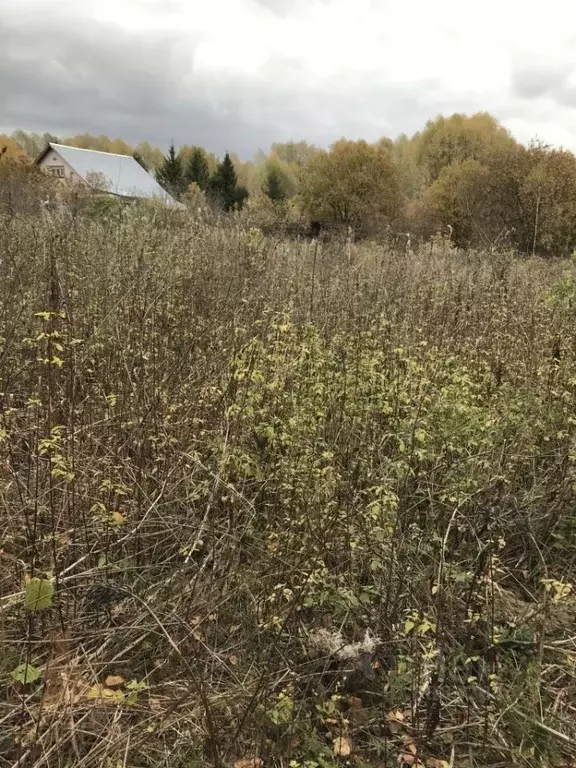 Дом в Нижегородская область, Богородский район, д. Кожевенное Луговая ... - Фото 1