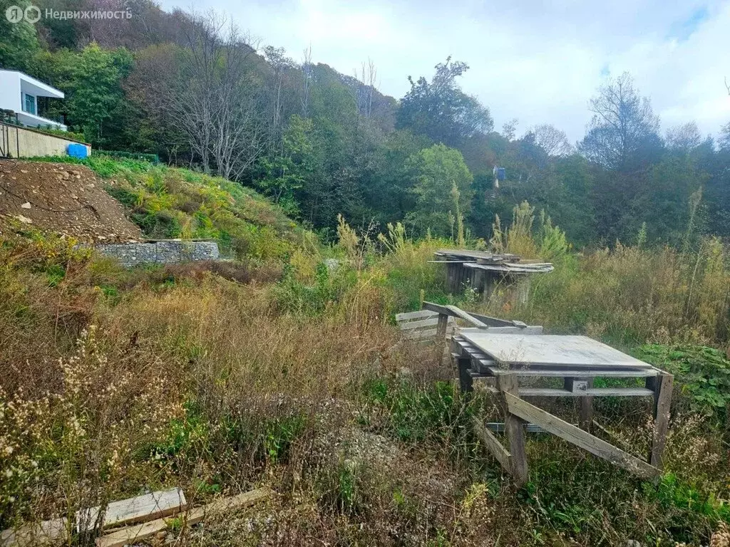 Участок в Сочи, садовое товарищество Альбатрос, 40 (5 м) - Фото 1