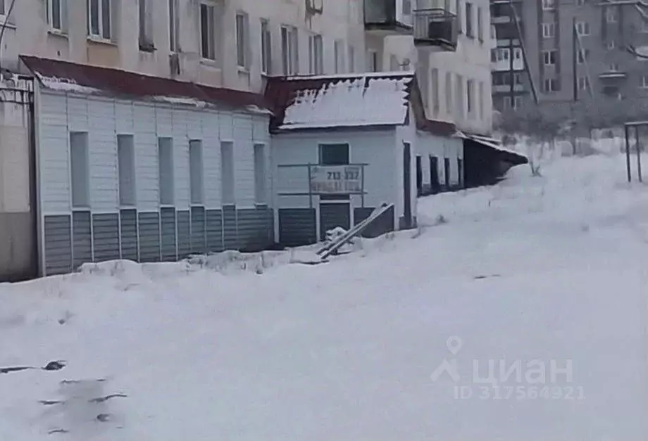 Помещение свободного назначения в Пермский край, Александровск ул. ... - Фото 2