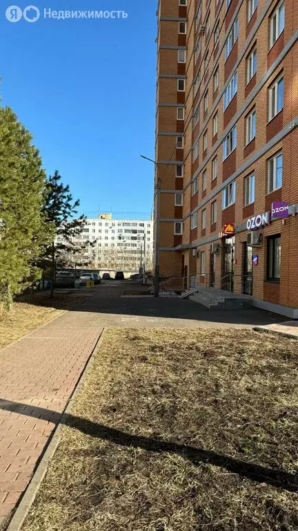 Помещение свободного назначения (28 м) - Фото 1