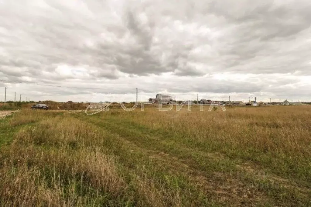 Участок в Тюменская область, Тюменский муниципальный округ, с. ... - Фото 2