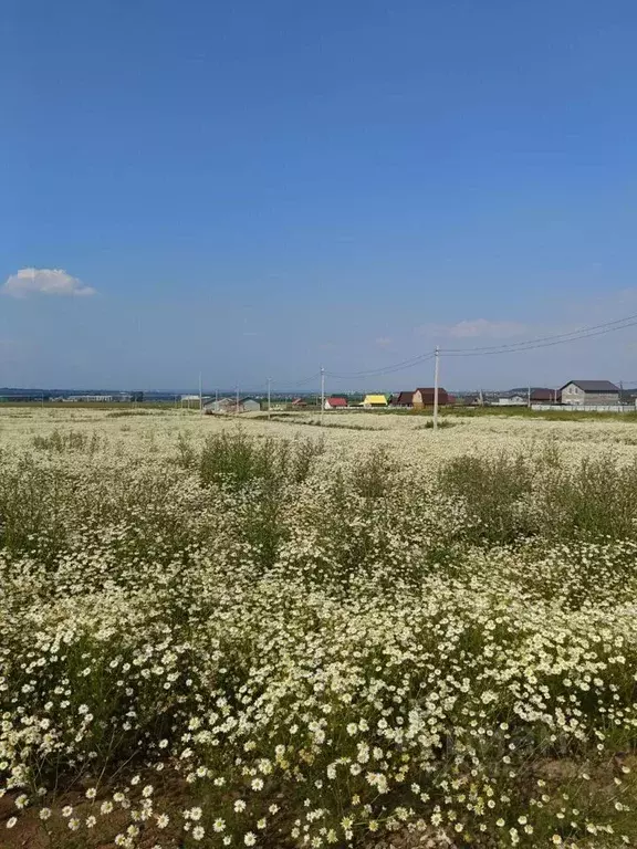 Участок в Пермский край, д. Мокино ул. Рябиновая (8.0 сот.) - Фото 1