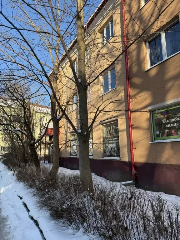 Помещение свободного назначения в Калининградская область, Калининград ... - Фото 1