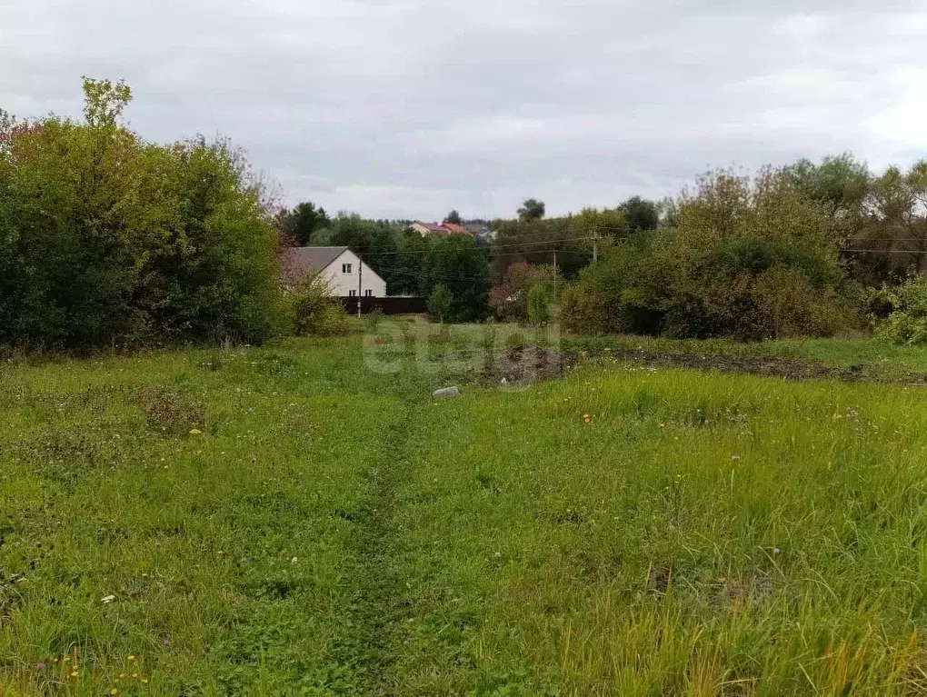 Участок в Мордовия, с. Лямбирь ул. Крестьянская (21.0 сот.) - Фото 0