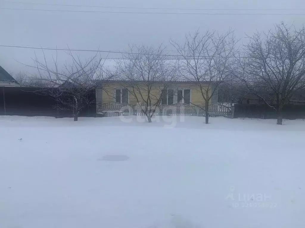 Дом в Белгородская область, Вейделевский район, с. Большие Липяги ул. ... - Фото 2