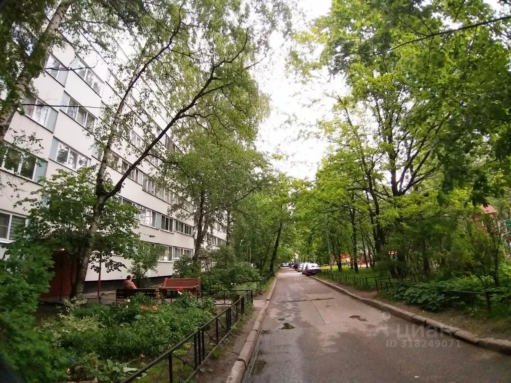 1-к кв. Санкт-Петербург просп. Культуры, 7К1 (30.9 м) - Фото 0
