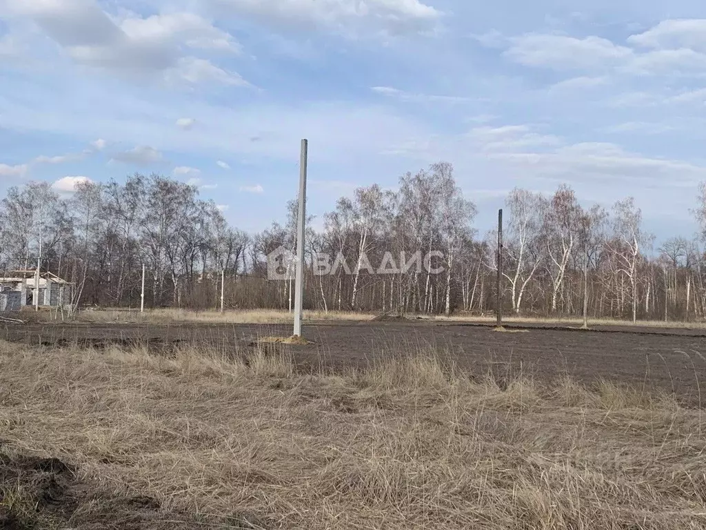 Участок в Воронежская область, Воронеж ул. Совхозная (8.0 сот.) - Фото 2