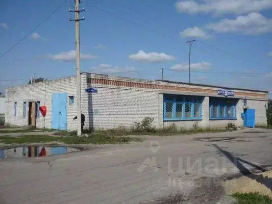 Помещение свободного назначения в Ульяновская область, Сенгилеевский ... - Фото 0