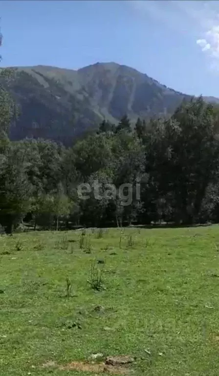 Участок в Карачаево-Черкесия, Зеленчукский район, с. Архыз  (25.0 ... - Фото 1