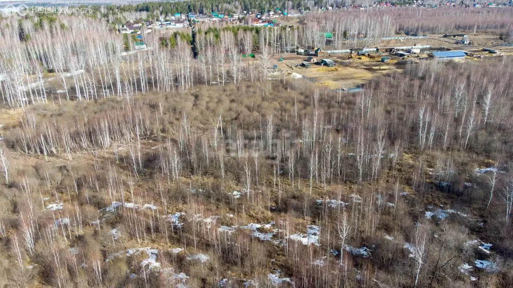 Участок в Тюменская область, Нижнетавдинский муниципальный округ, ... - Фото 2