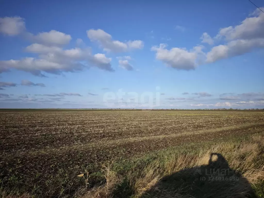 Участок в Крым, Сакский район, с. Сизовка  (499.0 сот.) - Фото 1