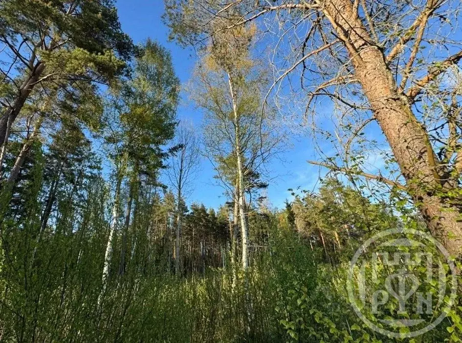 Участок в Ленинградская область, Выборгский район, Полянское с/пос, ... - Фото 2