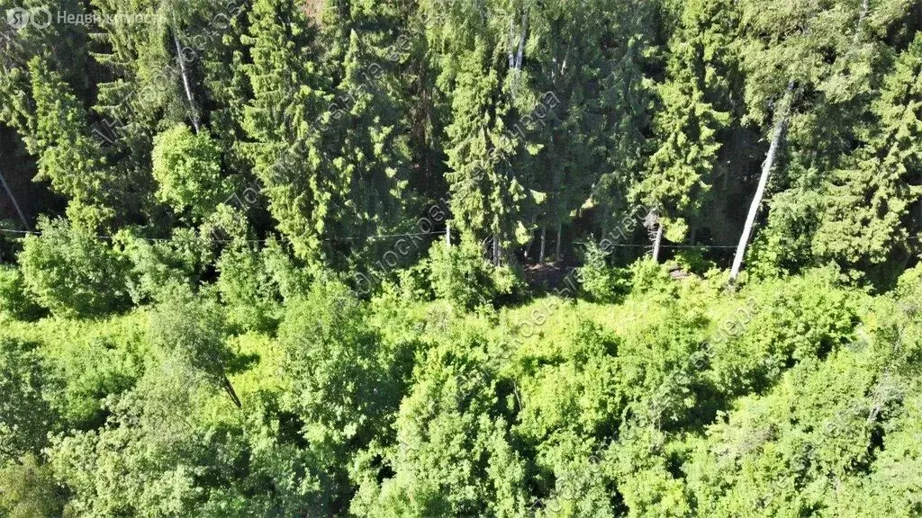 Участок в Московская область, городской округ Солнечногорск, ... - Фото 2