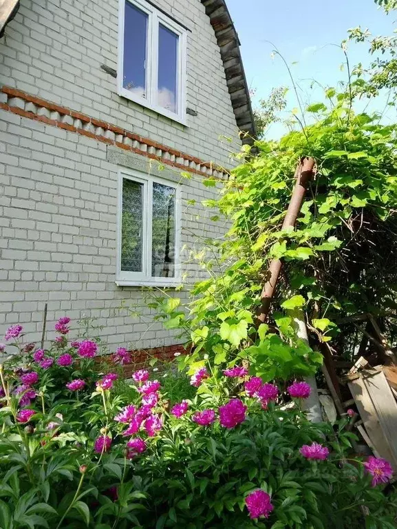 Дом в Курская область, Курский район, Моковский сельсовет, Золотая ... - Фото 1