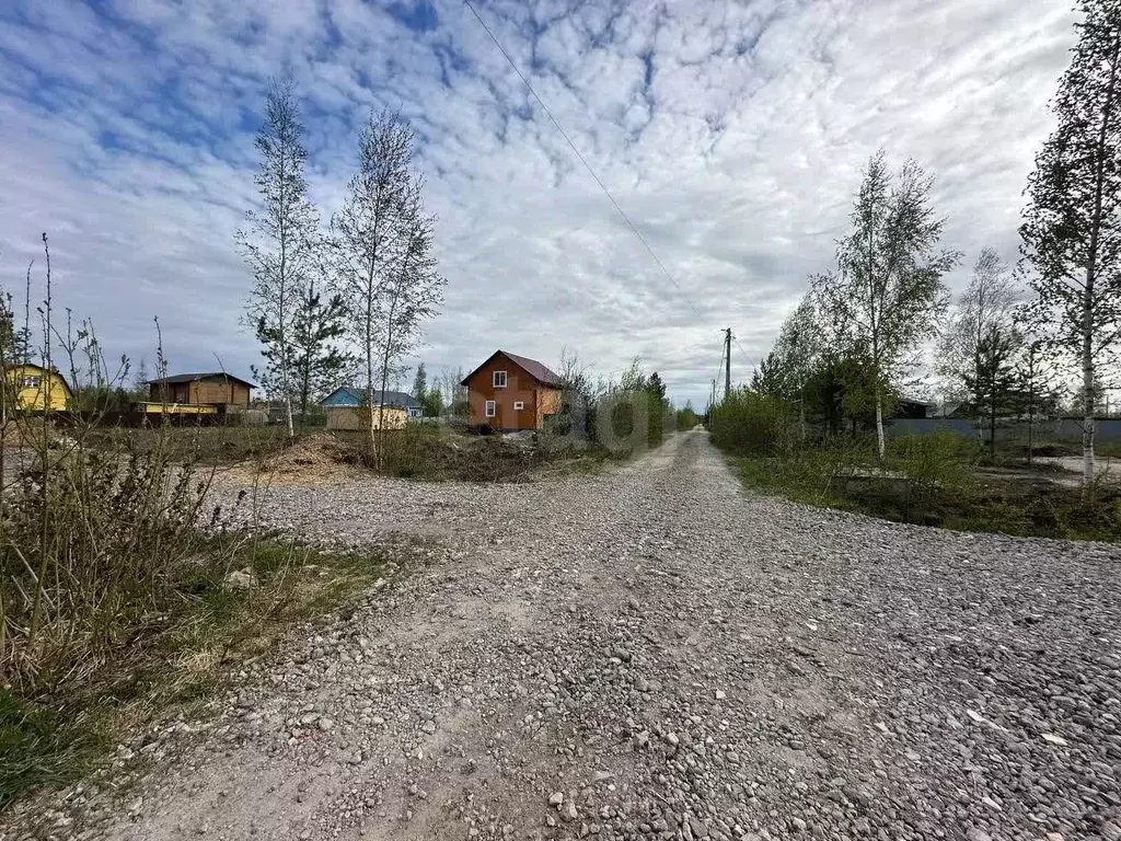 Участок в Ленинградская область, Кировский район, Синявинское ... - Фото 1