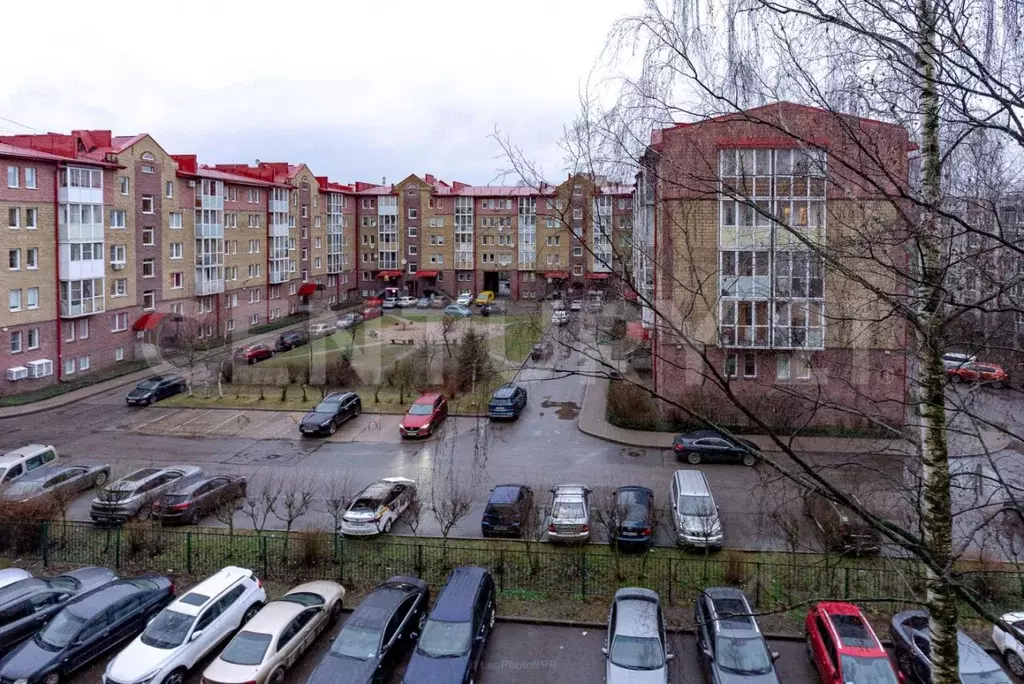 3-к кв. Ленинградская область, Всеволожск ул. Плоткина, 15 (57.2 м) - Фото 1