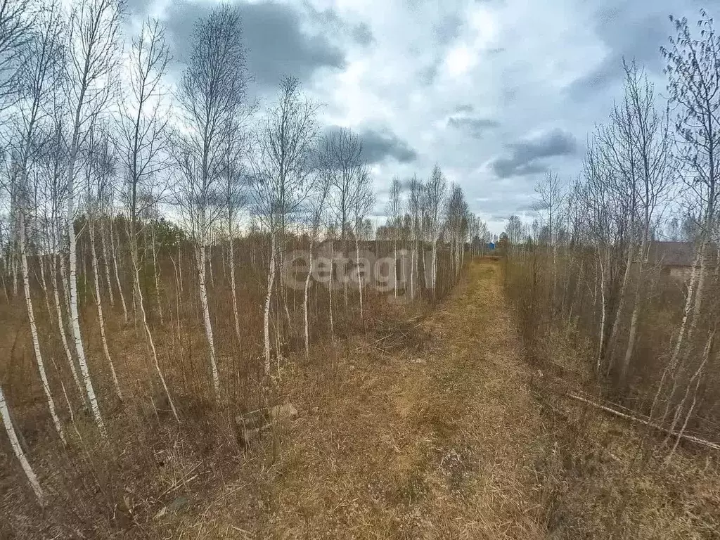 Участок в Тюменская область, Нижнетавдинский район, Сочинские СНТ 25-я ... - Фото 0