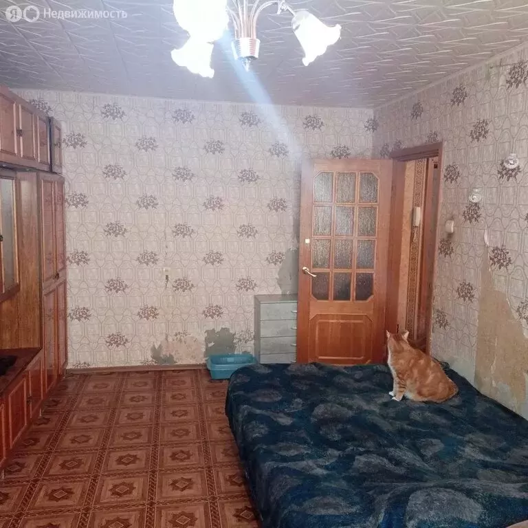 2-комнатная квартира: Тверь, бульвар Гусева, 47к1 (49.8 м) - Фото 2