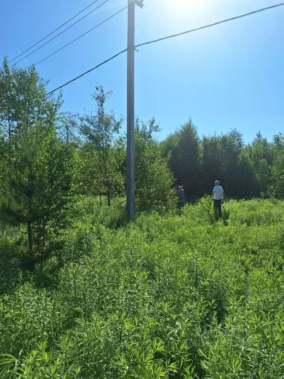 Участок в Нижегородская область, Богородский муниципальный округ, с. ... - Фото 0