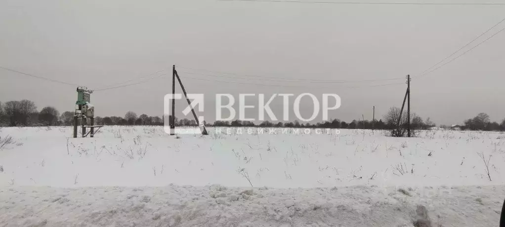 Участок в Ярославская область, Большесельский муниципальный округ, ... - Фото 1