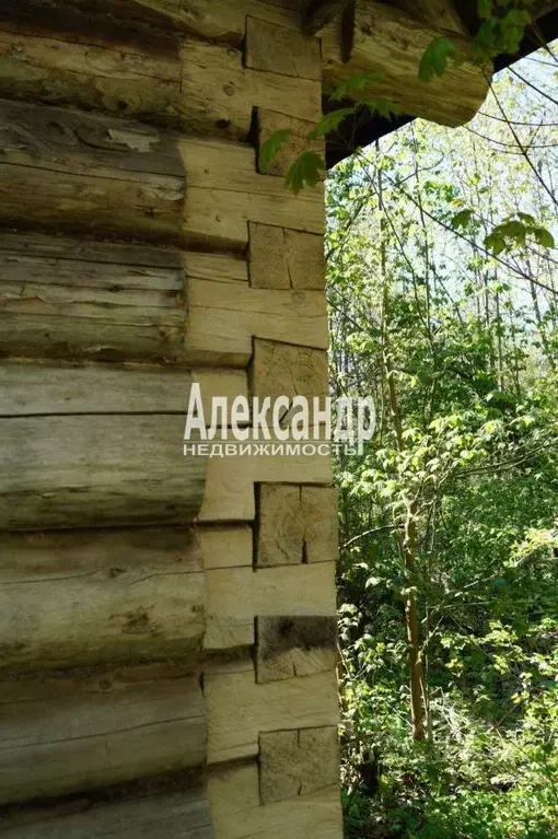 Участок в Ленинградская область, Тосненский район, Лисинское с/пос, ... - Фото 1