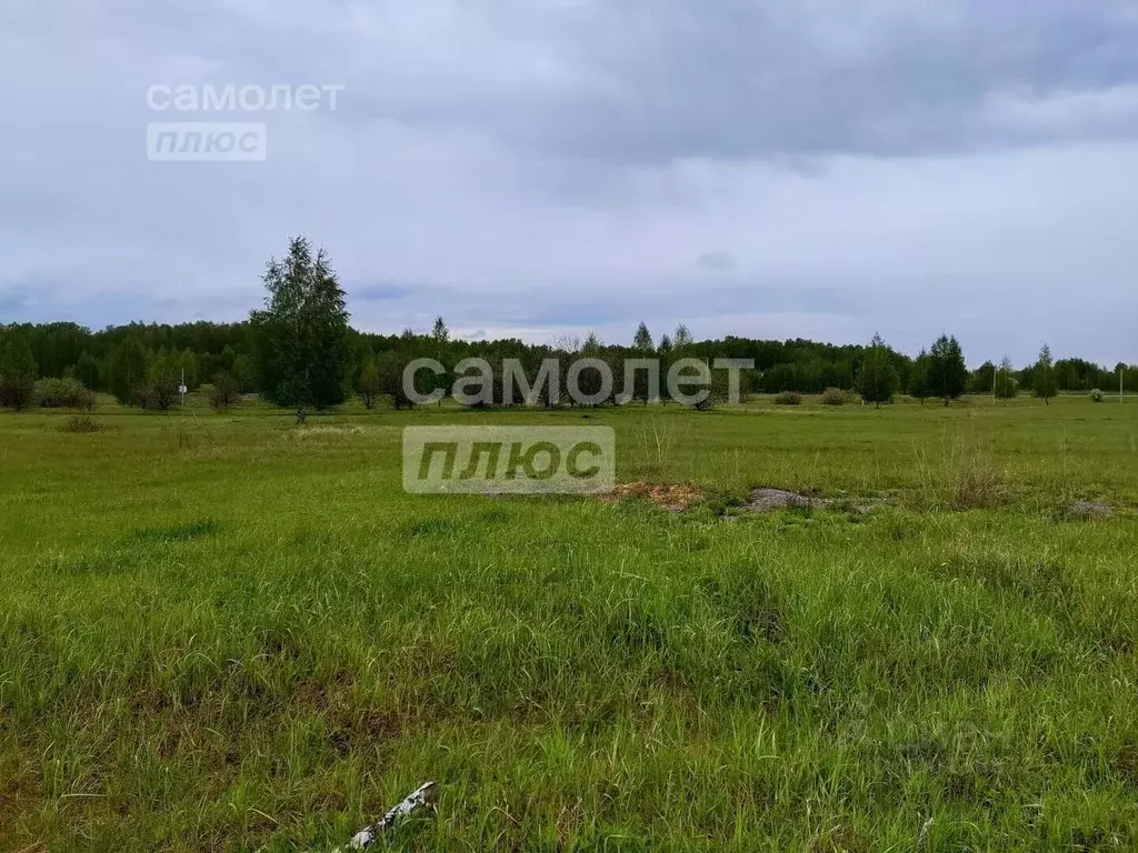 Участок в Челябинская область, Сосновский район, Солнечное с/пос, пос. ... - Фото 1