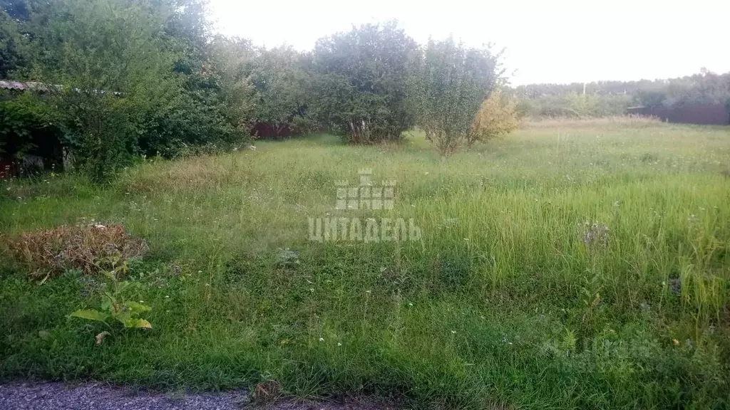 Участок в Воронежская область, Панинский район, Краснолиманское с/пос, ... - Фото 2