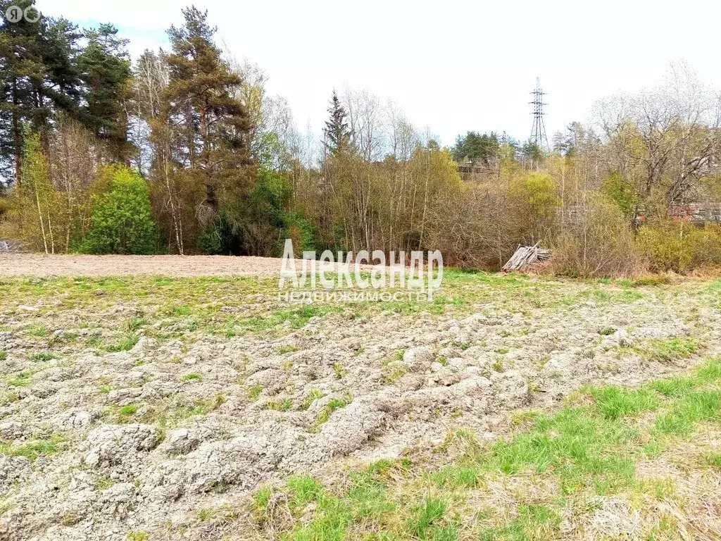 Участок в Приозерский район, городской посёлок Кузнечное (8.4 м) - Фото 1