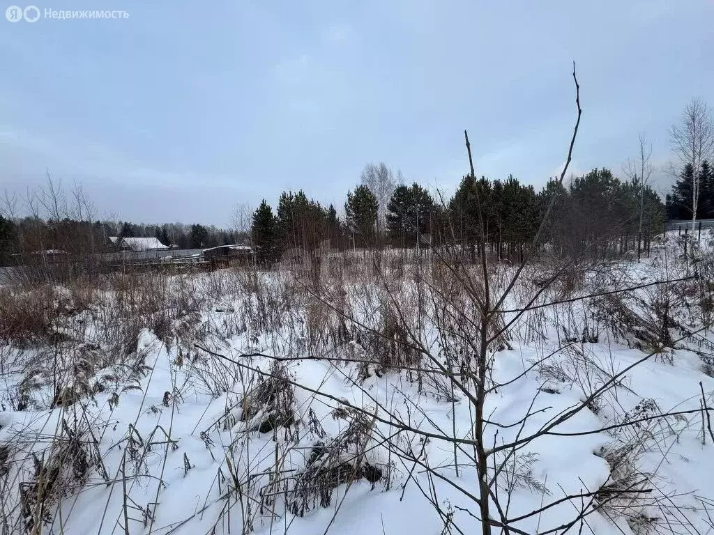 Участок в Нижнетавдинский район, садоводческое некоммерческое ... - Фото 1