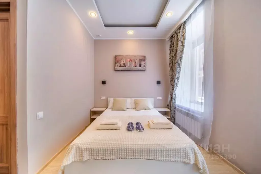 Комната Санкт-Петербург просп. Малый Петроградской стороны, 55 - Фото 2