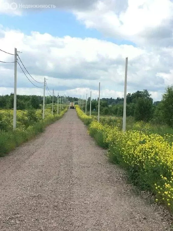 Участок в Гостилицкое сельское поселение, садоводческое некоммерческое ... - Фото 1