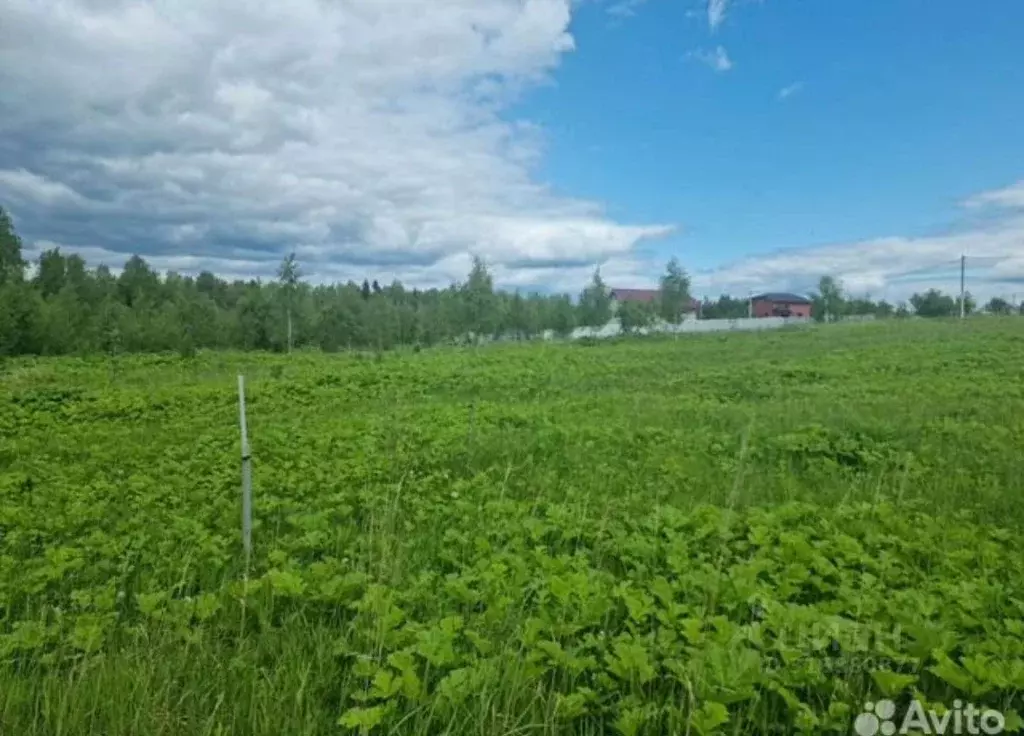 Участок в Московская область, Наро-Фоминский городской округ, д. ... - Фото 1