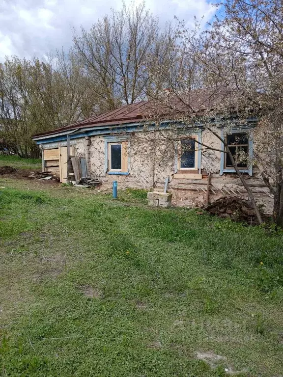 Дом в Воронежская область, Калачеевский район, с. Ширяево Колхозная ... - Фото 2