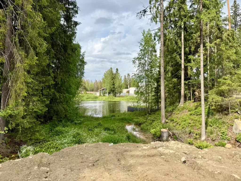Участок в Ленинградская область, Выборгский район, Рощино городской ... - Фото 1